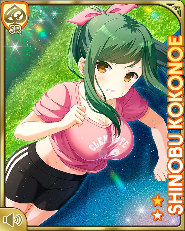 806ページ